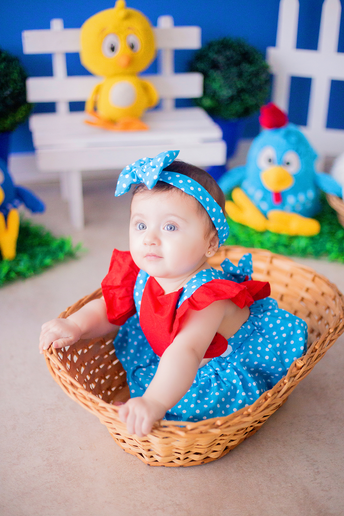 acompanhamento mensal de bebe caxias do sul figurino cenario tematico  personagem foto infantil serra gaucha fotografia familia mundo azul rosa ensaio fotografico crianca newborn baby menino menina smash the cake esmague o bolo banheira urso circo