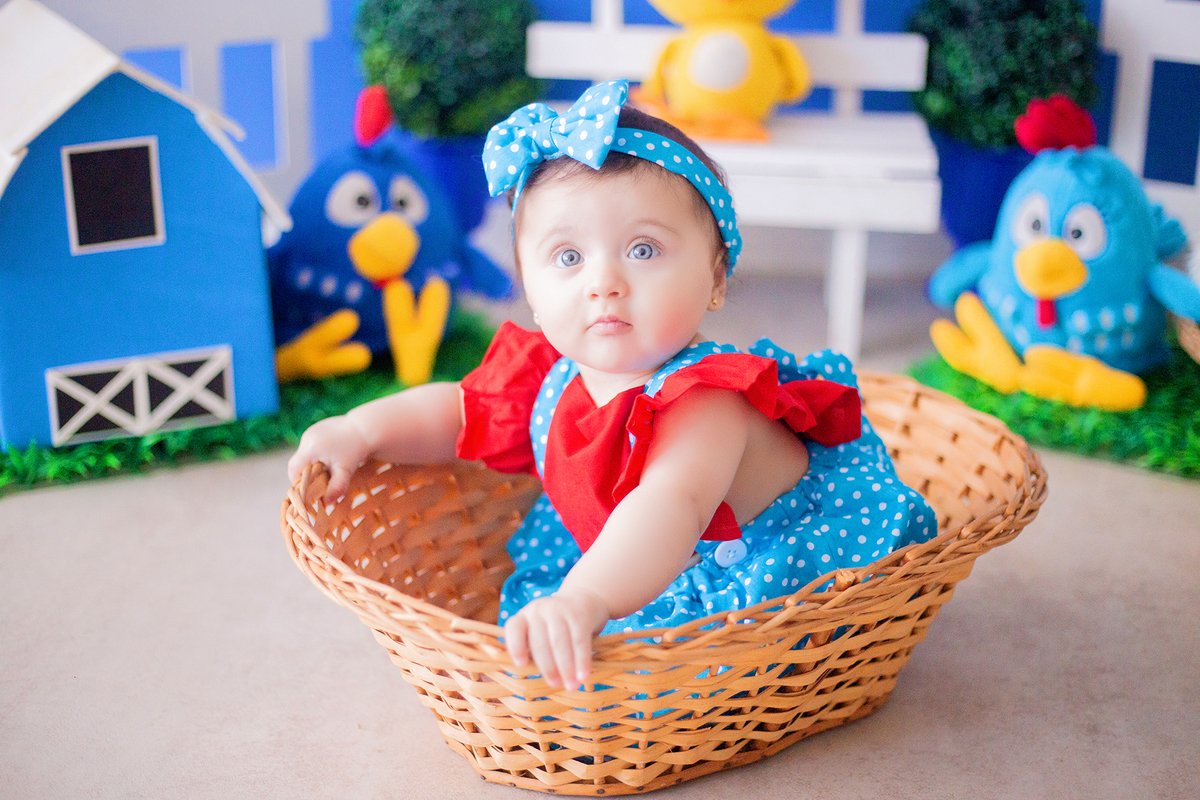 acompanhamento mensal de bebe caxias do sul figurino cenario tematico  personagem foto infantil serra gaucha fotografia familia mundo azul rosa ensaio fotografico crianca newborn baby menino menina smash the cake esmague o bolo banheira urso circo