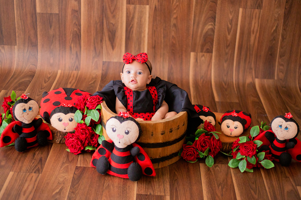 acompanhamento mensal de bebe caxias do sul figurino cenario tematico  personagem foto infantil serra gaucha fotografia familia mundo azul rosa ensaio fotografico crianca newborn baby menino menina smash the cake esmague o bolo banheira urso circo