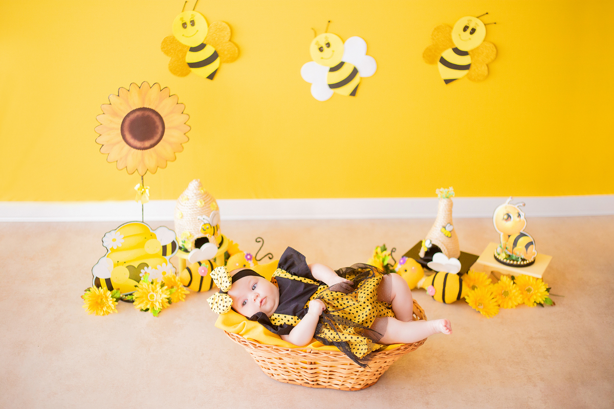 acompanhamento mensal de bebe caxias do sul figurino cenario tematico  personagem foto infantil serra gaucha fotografia familia mundo azul rosa ensaio fotografico crianca newborn baby menino menina smash the cake esmague o bolo banheira urso circo