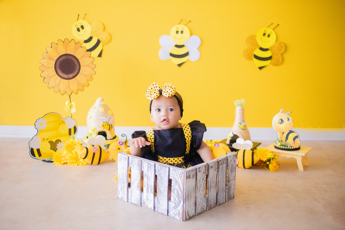 acompanhamento mensal de bebe caxias do sul figurino cenario tematico  personagem foto infantil serra gaucha fotografia familia mundo azul rosa ensaio fotografico crianca newborn baby menino menina smash the cake esmague o bolo banheira urso circo