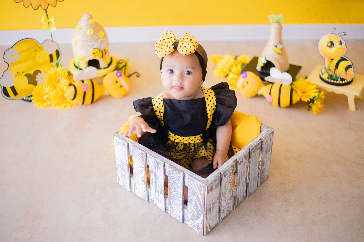 acompanhamento mensal de bebe caxias do sul figurino cenario tematico  personagem foto infantil serra gaucha fotografia familia mundo azul rosa ensaio fotografico crianca newborn baby menino menina smash the cake esmague o bolo banheira urso circo