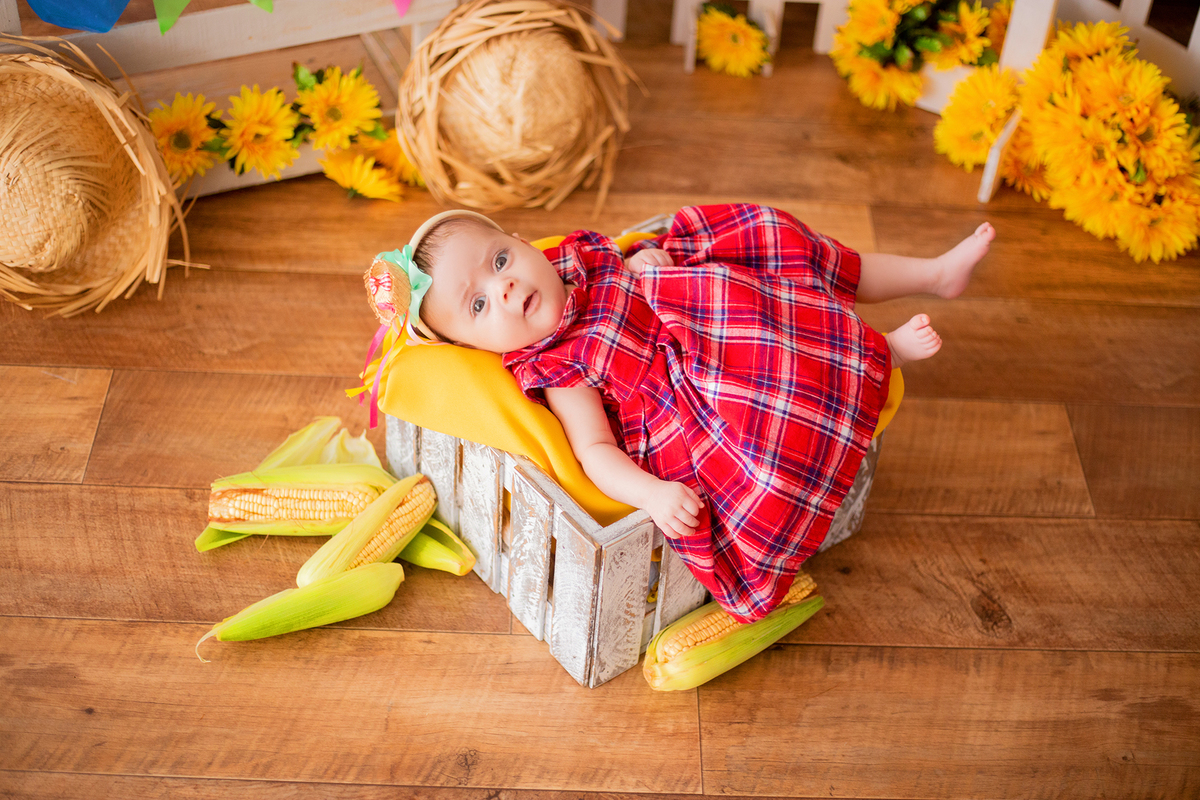 acompanhamento mensal de bebe caxias do sul figurino cenario tematico  personagem foto infantil serra gaucha fotografia familia mundo azul rosa ensaio fotografico crianca newborn baby menino menina smash the cake esmague o bolo banheira urso circo