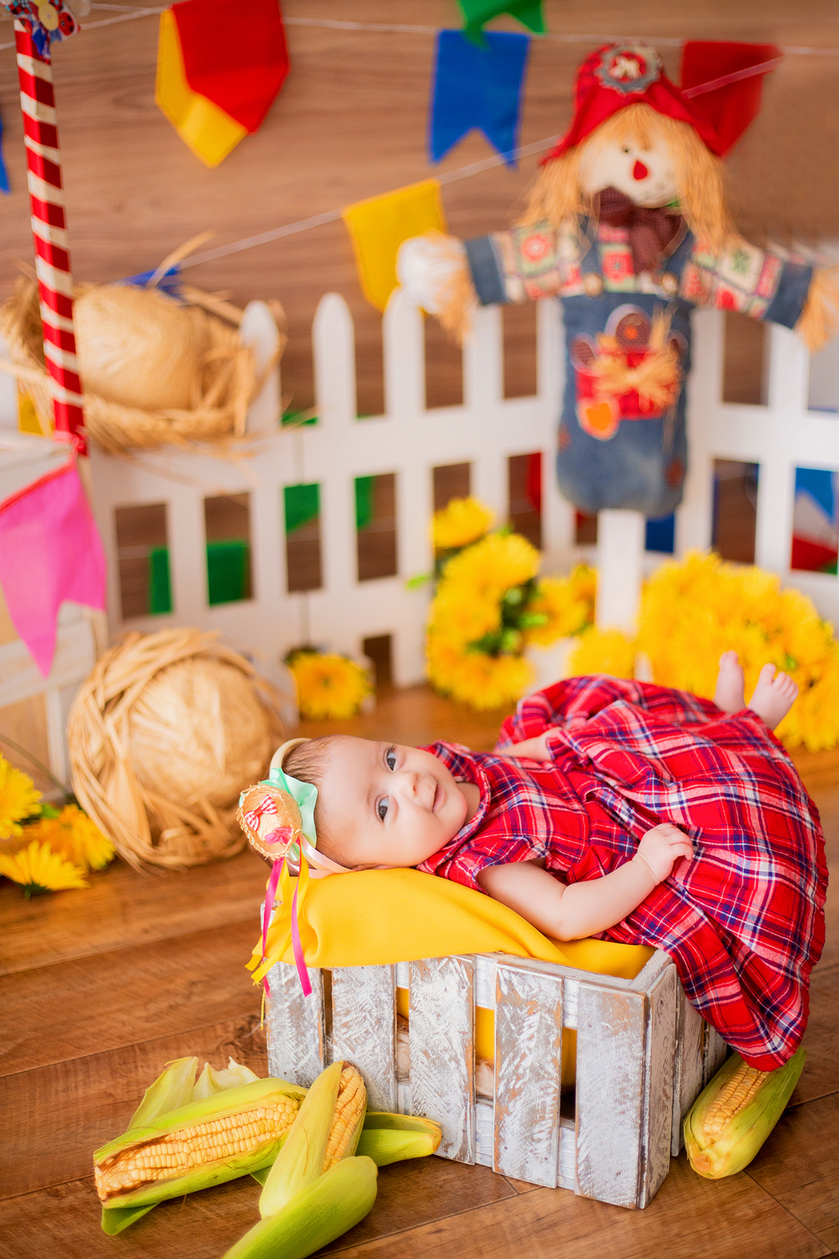 acompanhamento mensal de bebe caxias do sul figurino cenario tematico  personagem foto infantil serra gaucha fotografia familia mundo azul rosa ensaio fotografico crianca newborn baby menino menina smash the cake esmague o bolo banheira urso circo