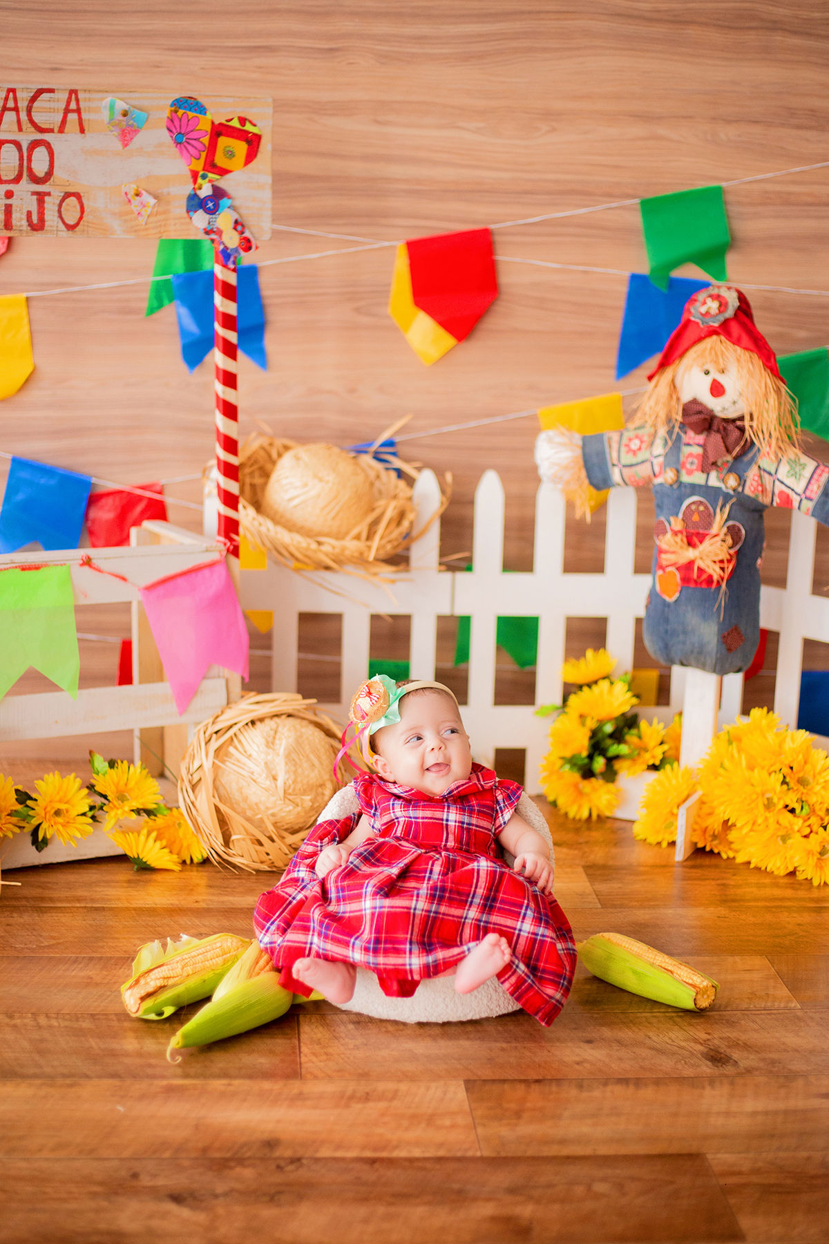 acompanhamento mensal de bebe caxias do sul figurino cenario tematico  personagem foto infantil serra gaucha fotografia familia mundo azul rosa ensaio fotografico crianca newborn baby menino menina smash the cake esmague o bolo banheira urso circo