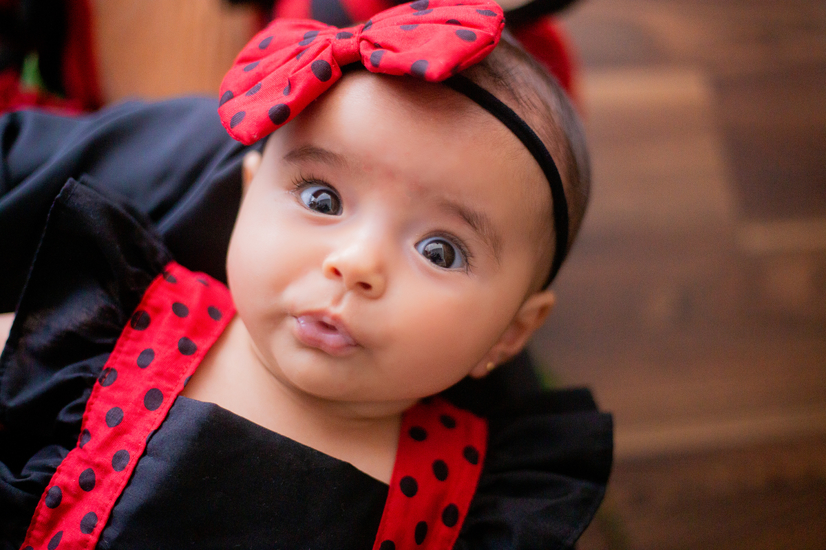acompanhamento mensal de bebe caxias do sul figurino cenario tematico  personagem foto infantil serra gaucha fotografia familia mundo azul rosa ensaio fotografico crianca newborn baby menino menina smash the cake esmague o bolo banheira urso circo