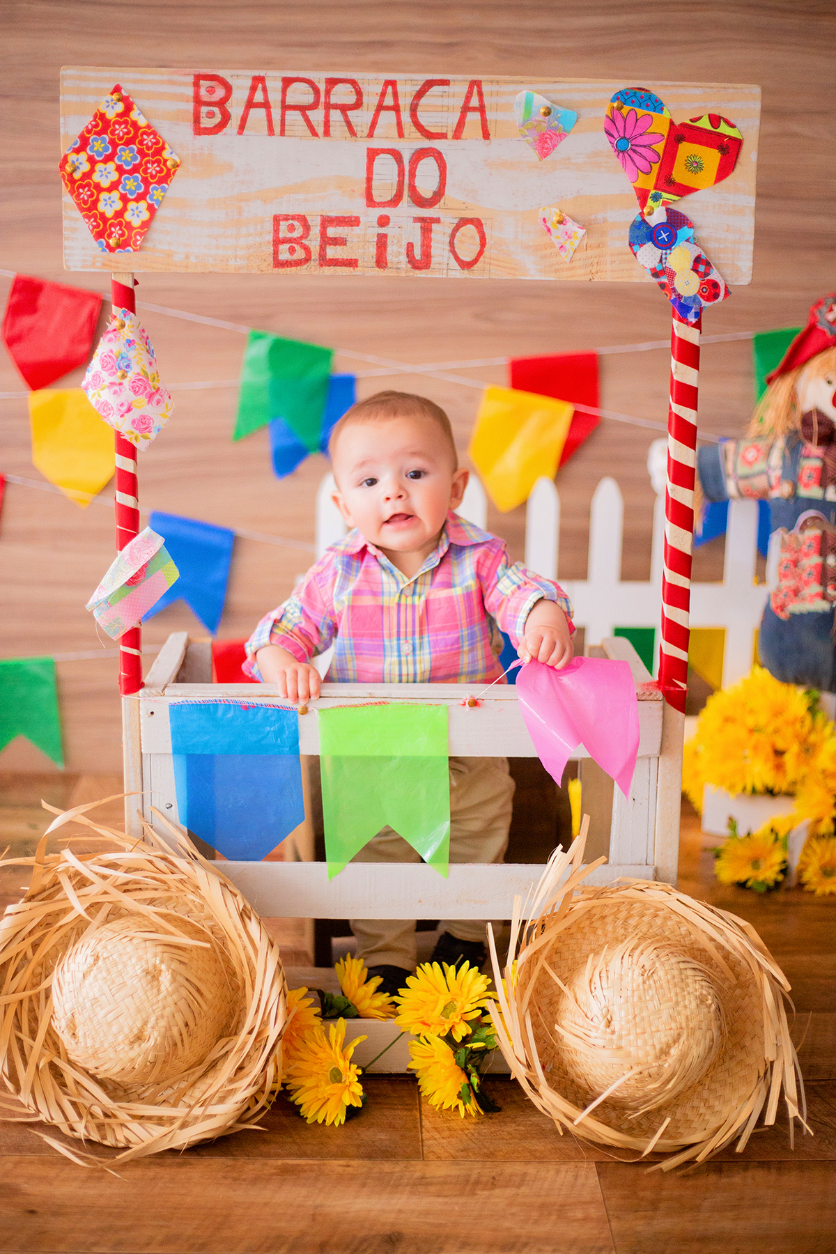 acompanhamento mensal de bebe caxias do sul figurino cenario tematico  personagem foto infantil serra gaucha fotografia familia mundo azul rosa ensaio fotografico crianca newborn baby menino menina smash the cake esmague o bolo banheira urso circo