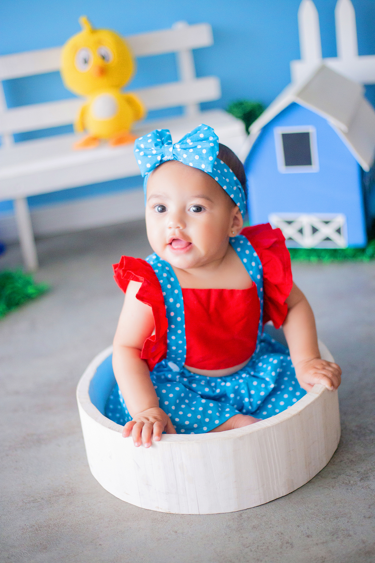 acompanhamento mensal de bebe caxias do sul figurino cenario tematico  personagem foto infantil serra gaucha fotografia familia mundo azul rosa ensaio fotografico crianca newborn baby menino menina smash the cake esmague o bolo banheira urso circo