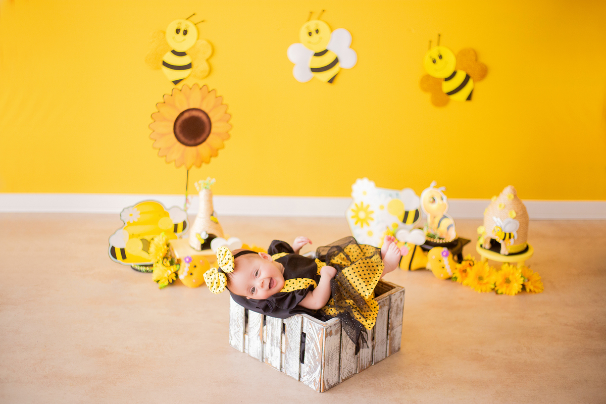 acompanhamento mensal de bebe caxias do sul figurino cenario tematico  personagem foto infantil serra gaucha fotografia familia mundo azul rosa ensaio fotografico crianca newborn baby menino menina smash the cake esmague o bolo banheira urso circo