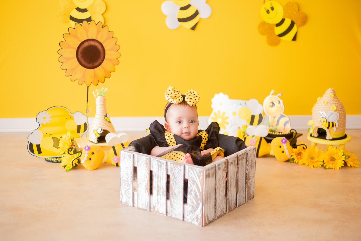 acompanhamento mensal de bebe caxias do sul figurino cenario tematico  personagem foto infantil serra gaucha fotografia familia mundo azul rosa ensaio fotografico crianca newborn baby menino menina smash the cake esmague o bolo banheira urso circo