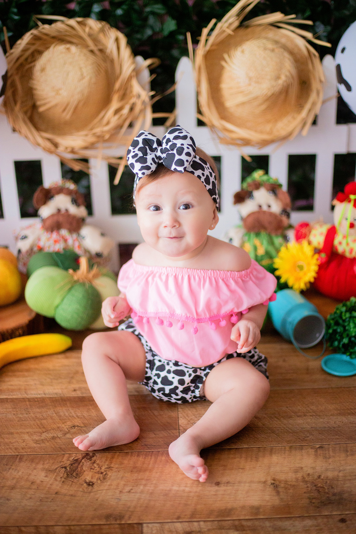 acompanhamento mensal de bebe caxias do sul figurino cenario tematico  personagem foto infantil serra gaucha fotografia familia mundo azul rosa ensaio fotografico crianca newborn baby menino menina smash the cake esmague o bolo banheira urso circo