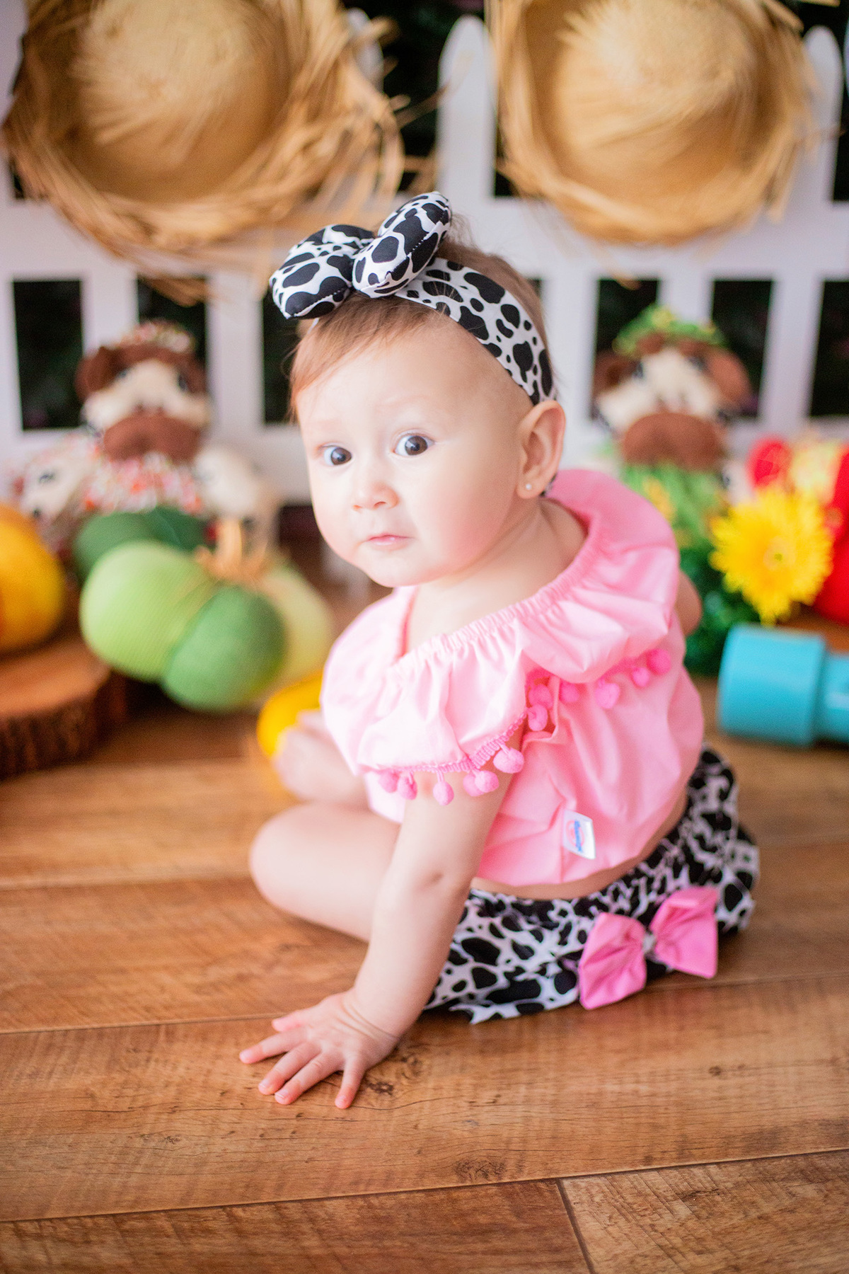 acompanhamento mensal de bebe caxias do sul figurino cenario tematico  personagem foto infantil serra gaucha fotografia familia mundo azul rosa ensaio fotografico crianca newborn baby menino menina smash the cake esmague o bolo banheira urso circo