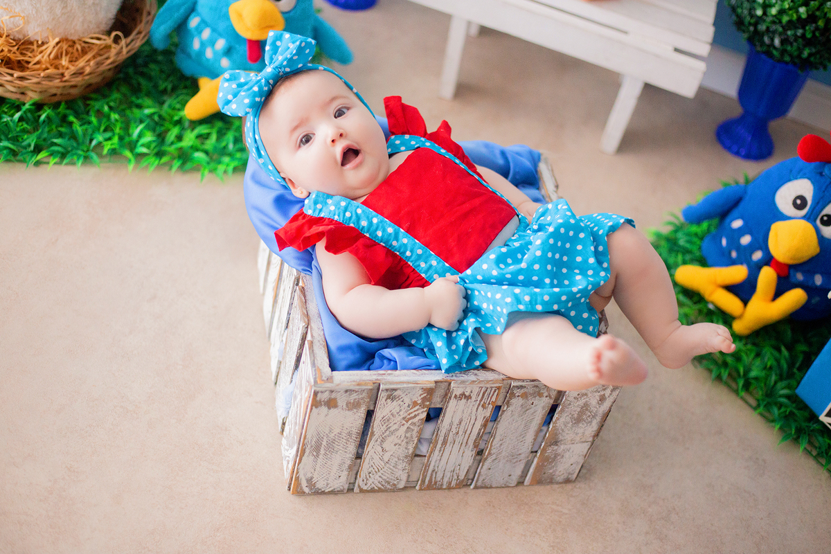 acompanhamento mensal de bebe caxias do sul figurino cenario tematico  personagem foto infantil serra gaucha fotografia familia mundo azul rosa ensaio fotografico crianca newborn baby menino menina smash the cake esmague o bolo banheira urso circo