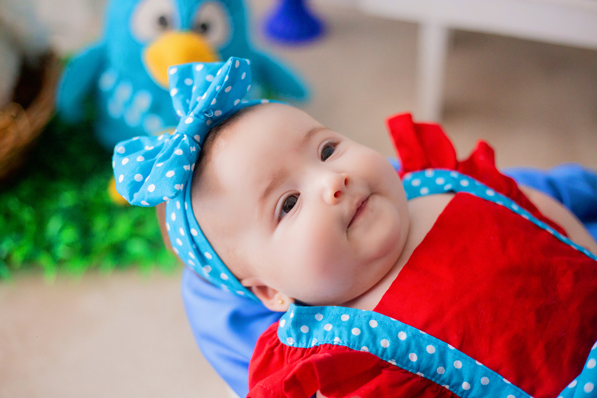 acompanhamento mensal de bebe caxias do sul figurino cenario tematico  personagem foto infantil serra gaucha fotografia familia mundo azul rosa ensaio fotografico crianca newborn baby menino menina smash the cake esmague o bolo banheira urso circo