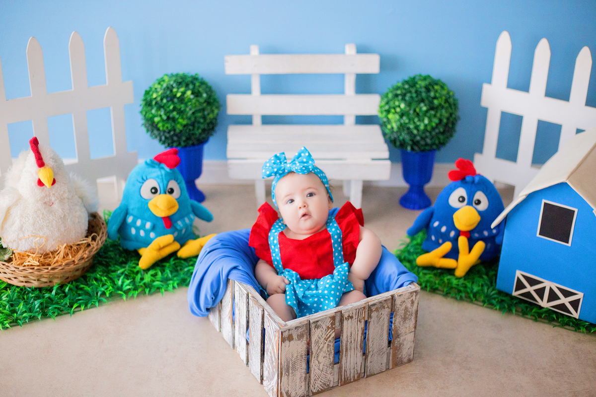 acompanhamento mensal de bebe caxias do sul figurino cenario tematico  personagem foto infantil serra gaucha fotografia familia mundo azul rosa ensaio fotografico crianca newborn baby menino menina smash the cake esmague o bolo banheira urso circo