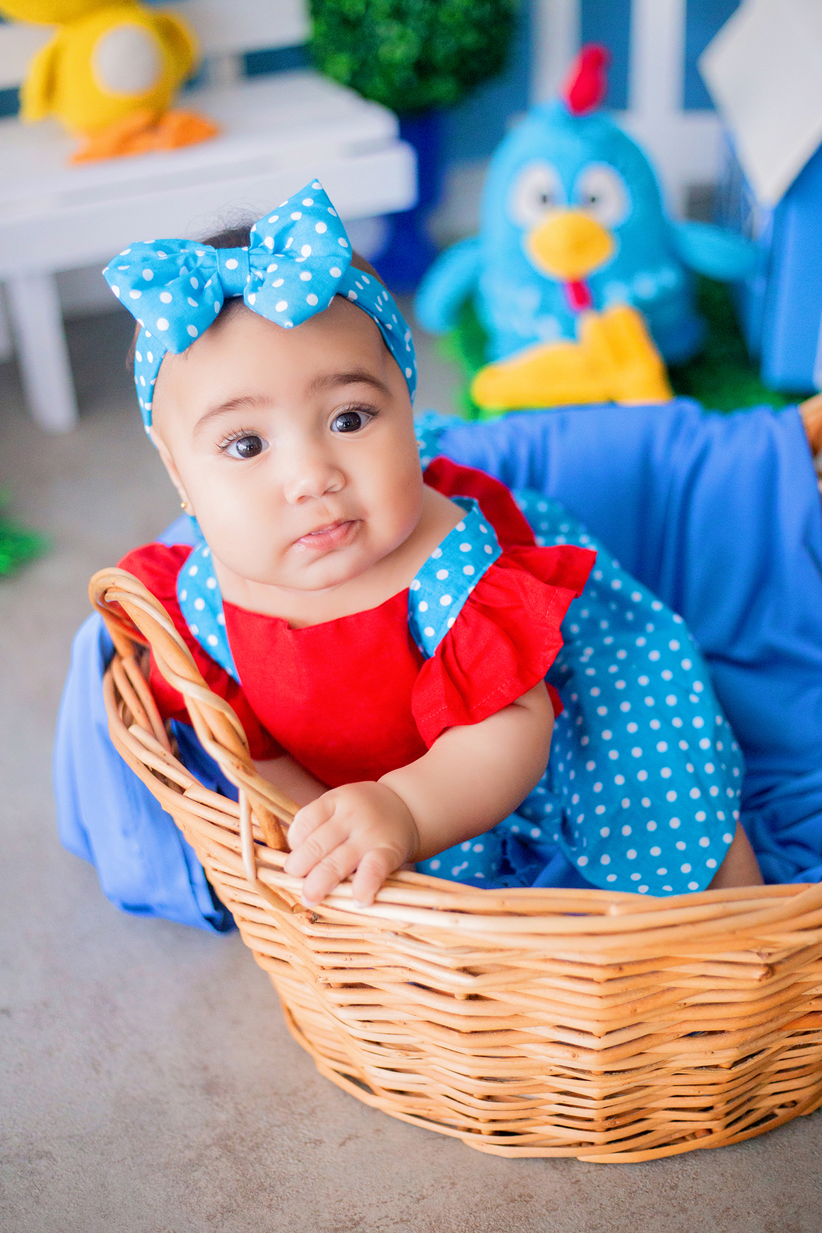 acompanhamento mensal de bebe caxias do sul figurino cenario tematico  personagem foto infantil serra gaucha fotografia familia mundo azul rosa ensaio fotografico crianca newborn baby menino menina smash the cake esmague o bolo banheira urso circo