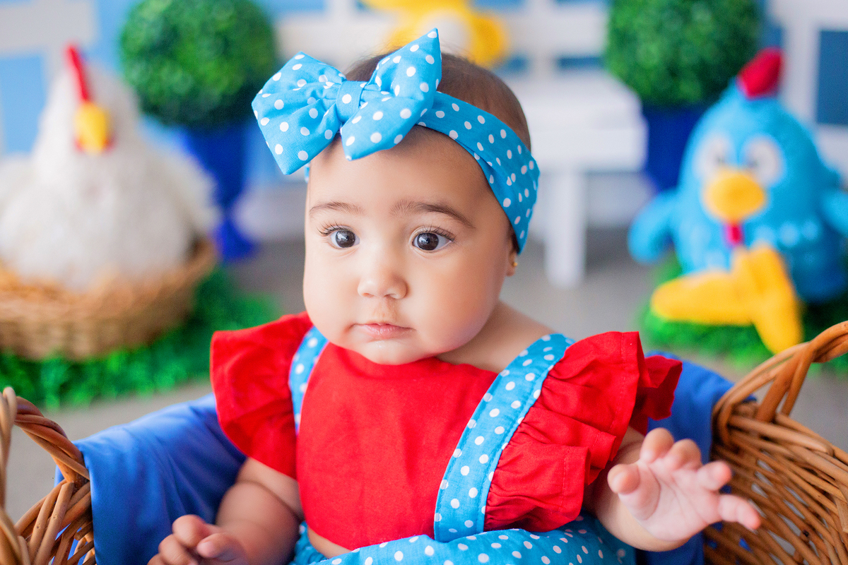acompanhamento mensal de bebe caxias do sul figurino cenario tematico  personagem foto infantil serra gaucha fotografia familia mundo azul rosa ensaio fotografico crianca newborn baby menino menina smash the cake esmague o bolo banheira urso circo