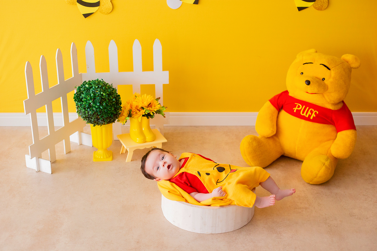 acompanhamento mensal de bebe caxias do sul figurino cenario tematico  personagem foto infantil serra gaucha fotografia familia mundo azul rosa ensaio fotografico crianca newborn baby menino menina smash the cake esmague o bolo banheira urso circo
