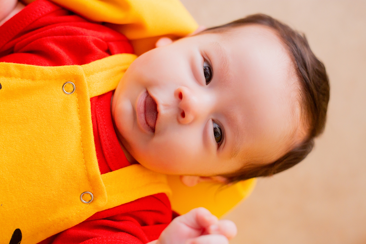 acompanhamento mensal de bebe caxias do sul figurino cenario tematico  personagem foto infantil serra gaucha fotografia familia mundo azul rosa ensaio fotografico crianca newborn baby menino menina smash the cake esmague o bolo banheira urso circo
