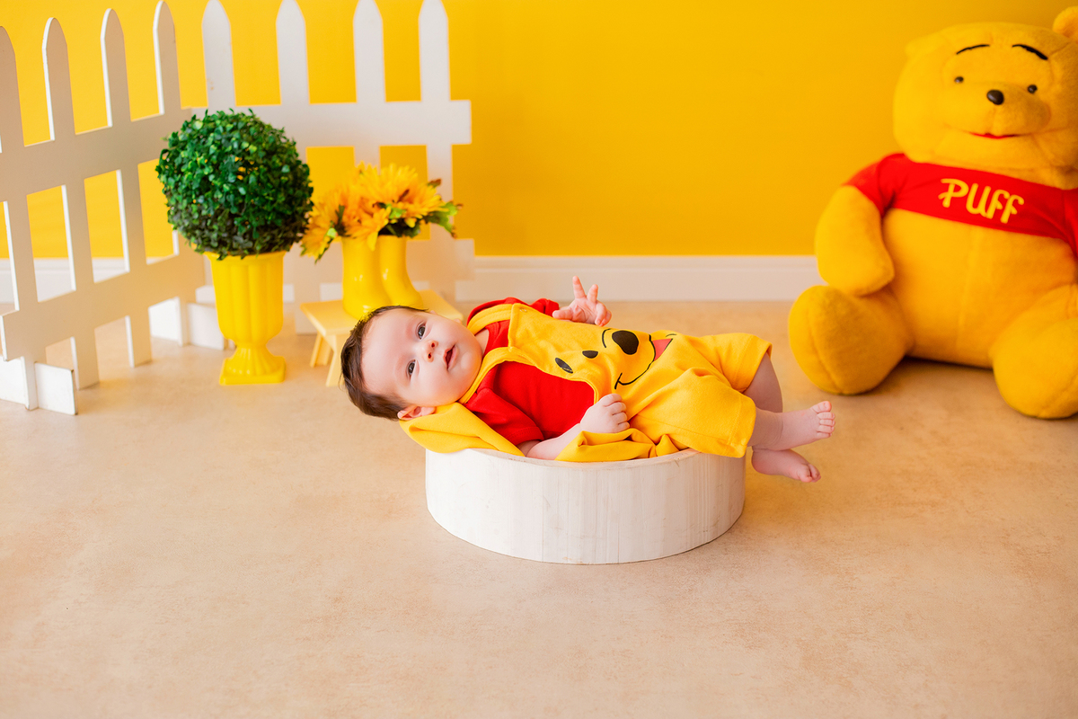 acompanhamento mensal de bebe caxias do sul figurino cenario tematico  personagem foto infantil serra gaucha fotografia familia mundo azul rosa ensaio fotografico crianca newborn baby menino menina smash the cake esmague o bolo banheira urso circo