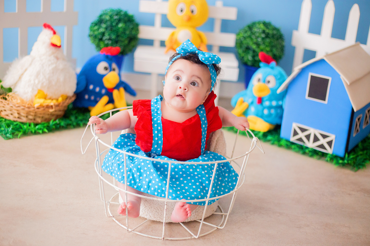 acompanhamento mensal de bebe caxias do sul figurino cenario tematico  personagem foto infantil serra gaucha fotografia familia mundo azul rosa ensaio fotografico crianca newborn baby menino menina smash the cake esmague o bolo banheira urso circo