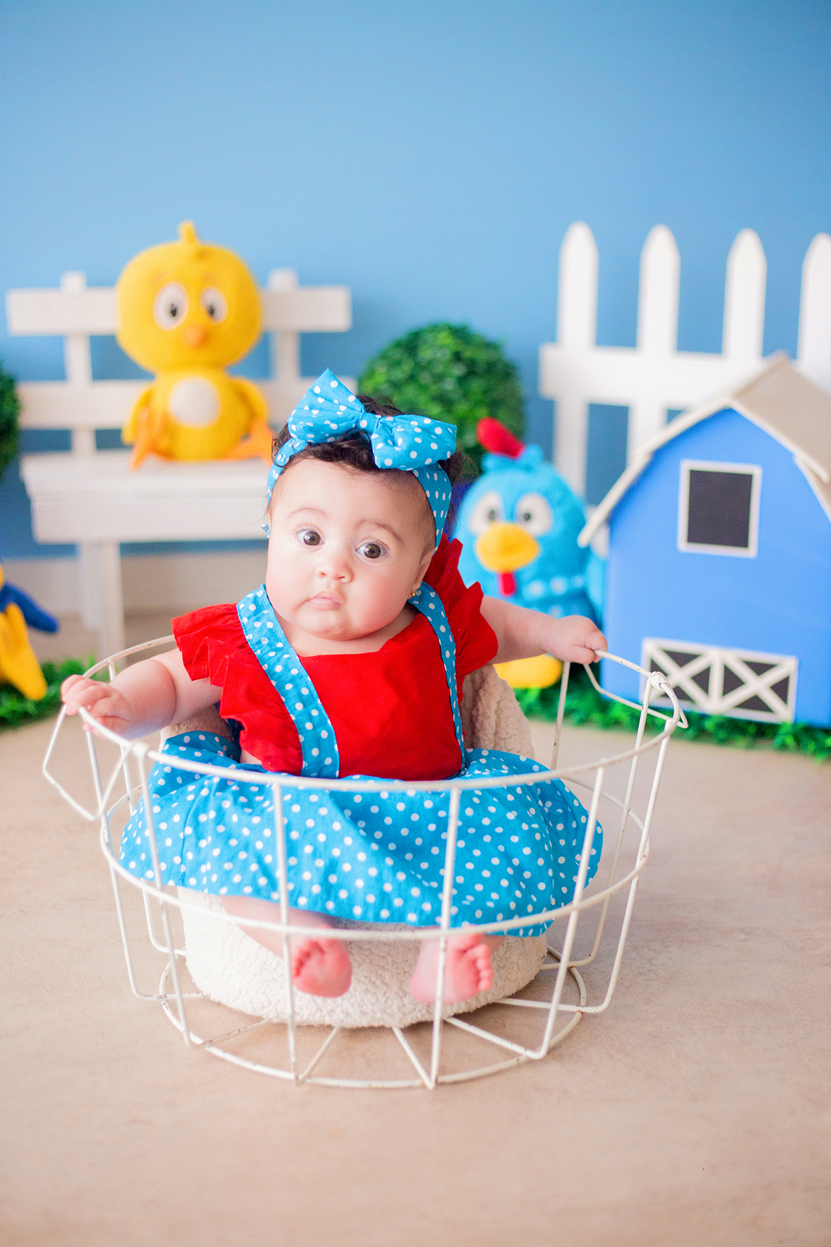 acompanhamento mensal de bebe caxias do sul figurino cenario tematico  personagem foto infantil serra gaucha fotografia familia mundo azul rosa ensaio fotografico crianca newborn baby menino menina smash the cake esmague o bolo banheira urso circo