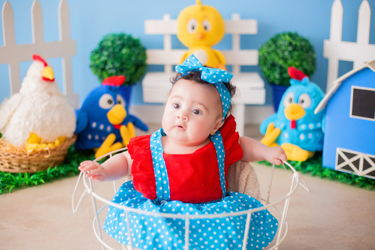 acompanhamento mensal de bebe caxias do sul figurino cenario tematico  personagem foto infantil serra gaucha fotografia familia mundo azul rosa ensaio fotografico crianca newborn baby menino menina smash the cake esmague o bolo banheira urso circo