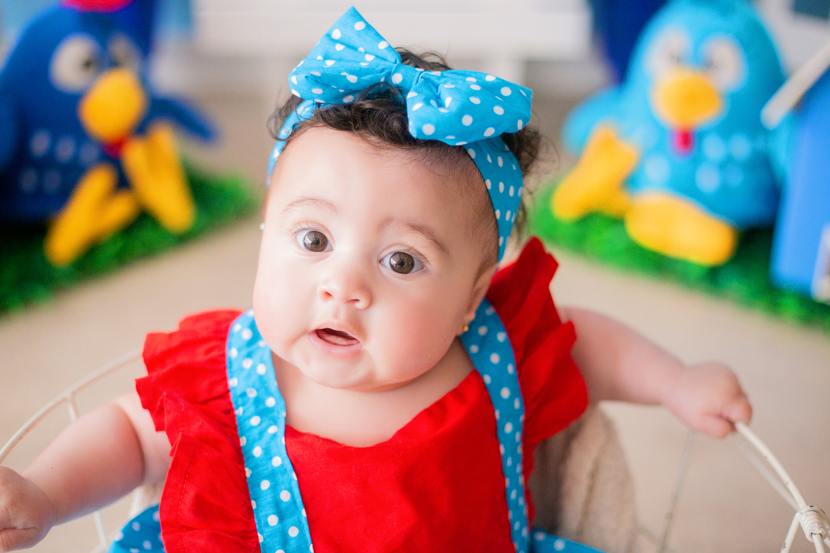 acompanhamento mensal de bebe caxias do sul figurino cenario tematico  personagem foto infantil serra gaucha fotografia familia mundo azul rosa ensaio fotografico crianca newborn baby menino menina smash the cake esmague o bolo banheira urso circo