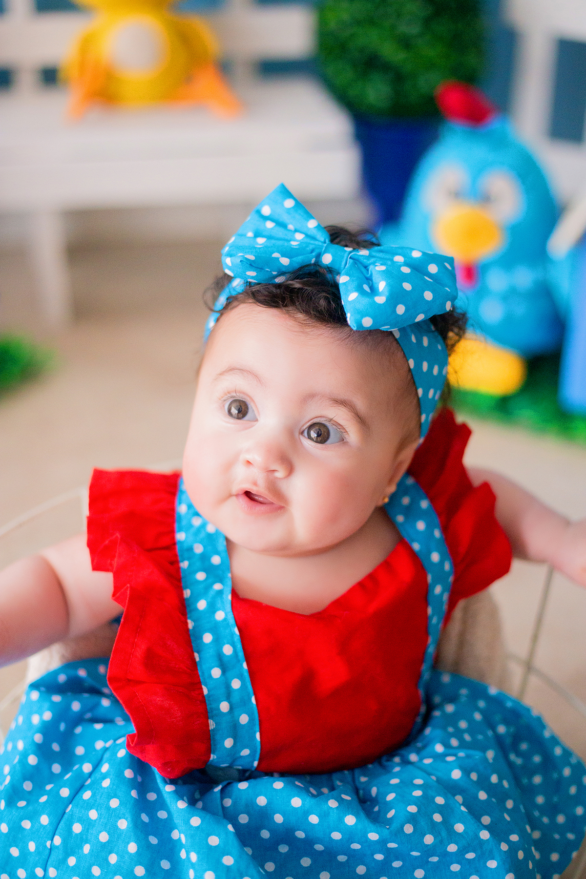 acompanhamento mensal de bebe caxias do sul figurino cenario tematico  personagem foto infantil serra gaucha fotografia familia mundo azul rosa ensaio fotografico crianca newborn baby menino menina smash the cake esmague o bolo banheira urso circo