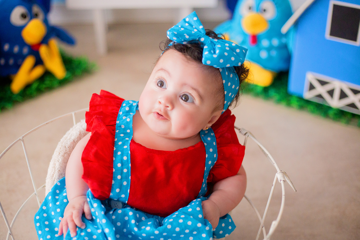 acompanhamento mensal de bebe caxias do sul figurino cenario tematico  personagem foto infantil serra gaucha fotografia familia mundo azul rosa ensaio fotografico crianca newborn baby menino menina smash the cake esmague o bolo banheira urso circo