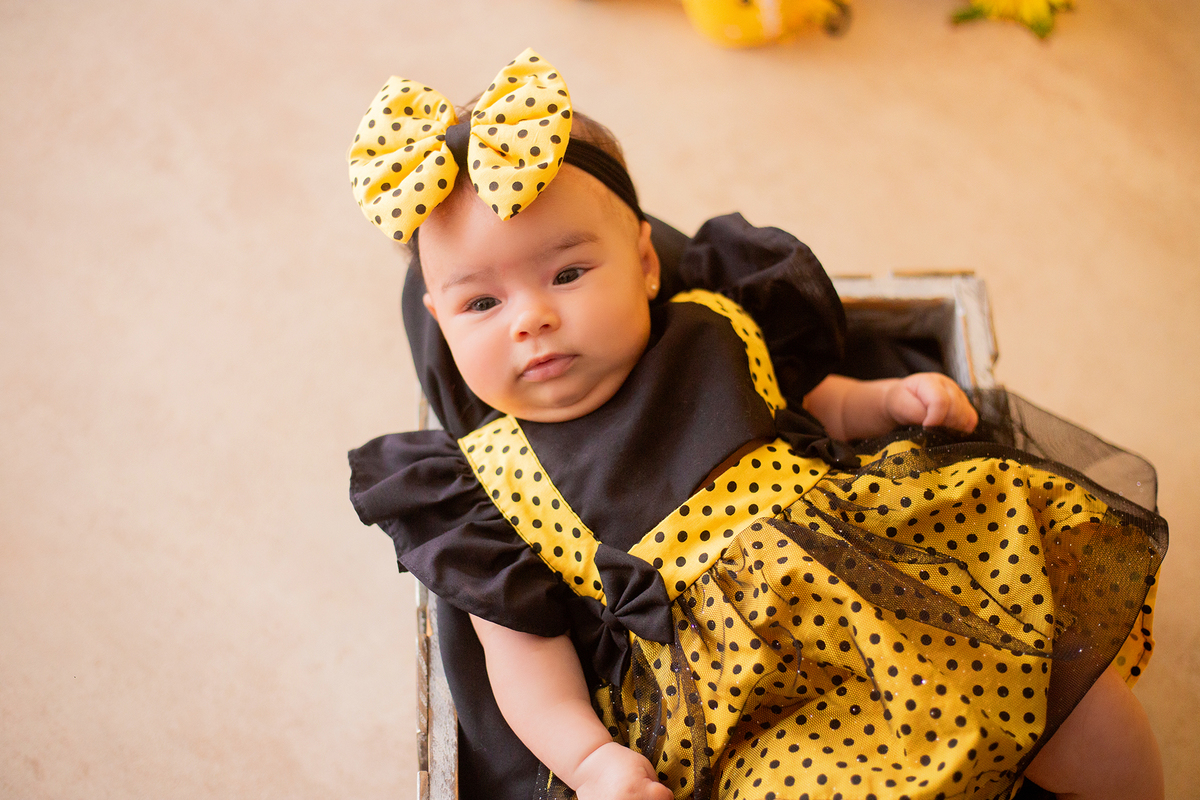 acompanhamento mensal de bebe caxias do sul figurino cenario tematico  personagem foto infantil serra gaucha fotografia familia mundo azul rosa ensaio fotografico crianca newborn baby menino menina smash the cake esmague o bolo banheira urso circo