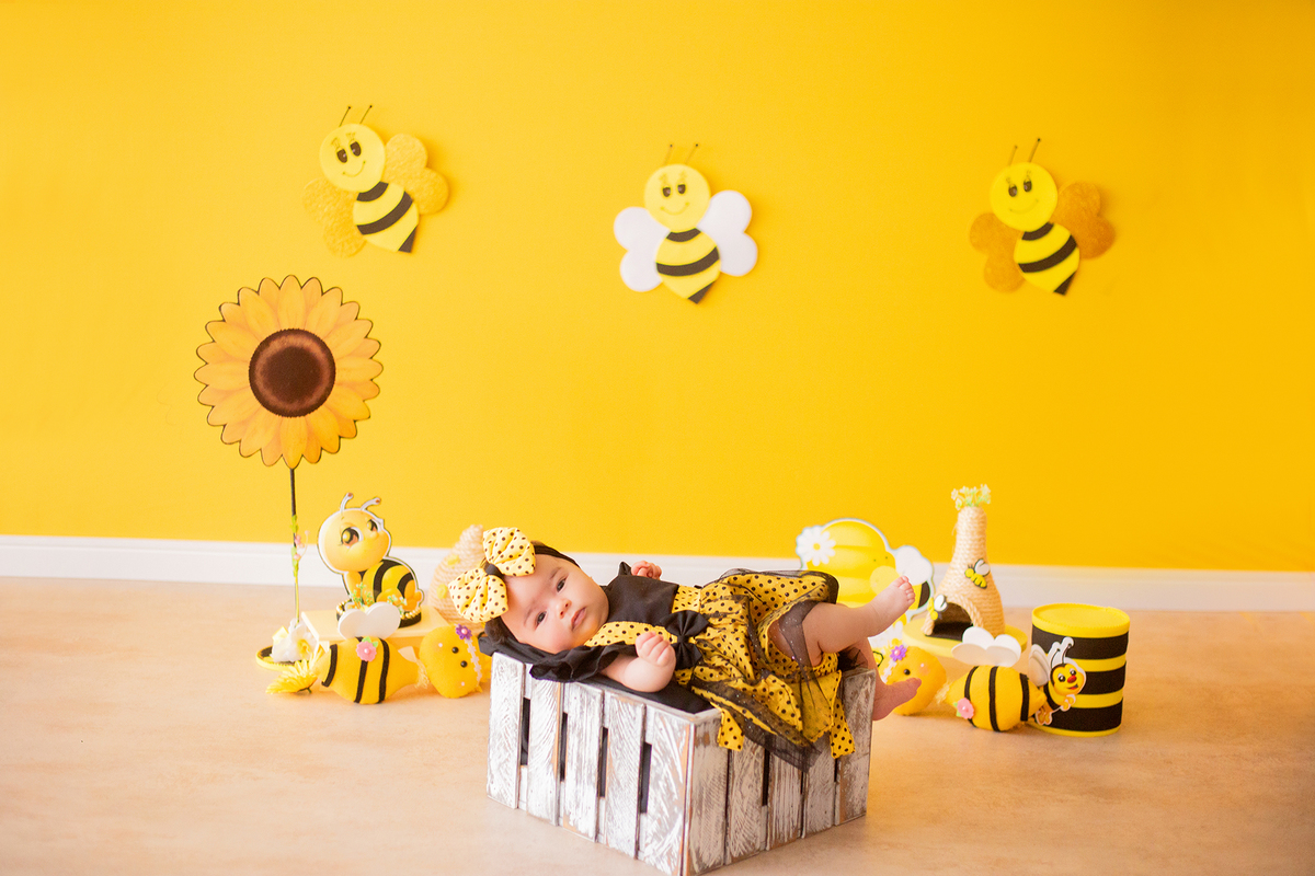 acompanhamento mensal de bebe caxias do sul figurino cenario tematico  personagem foto infantil serra gaucha fotografia familia mundo azul rosa ensaio fotografico crianca newborn baby menino menina smash the cake esmague o bolo banheira urso circo