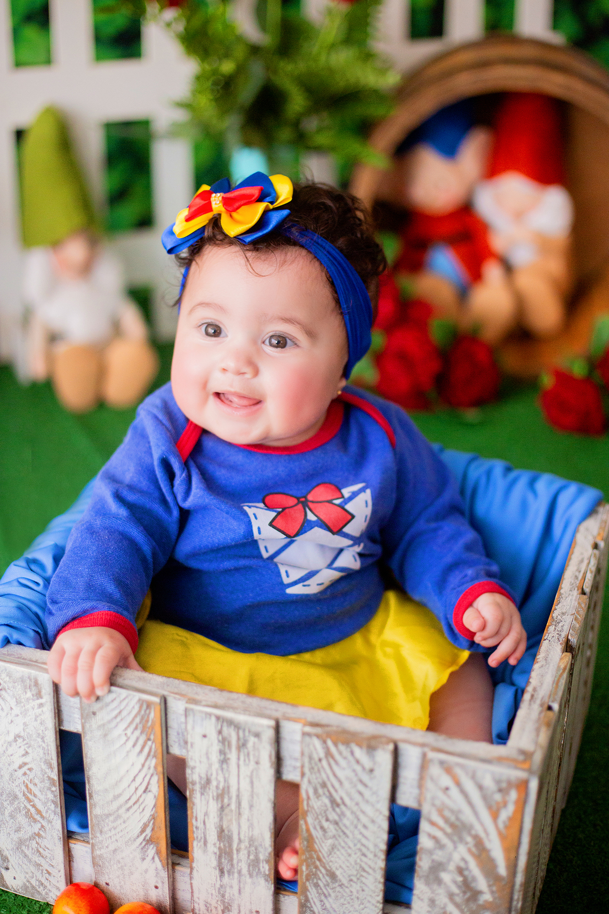 acompanhamento mensal de bebe caxias do sul figurino cenario tematico  personagem foto infantil serra gaucha fotografia familia mundo azul rosa ensaio fotografico crianca newborn baby menino menina smash the cake esmague o bolo banheira urso circo