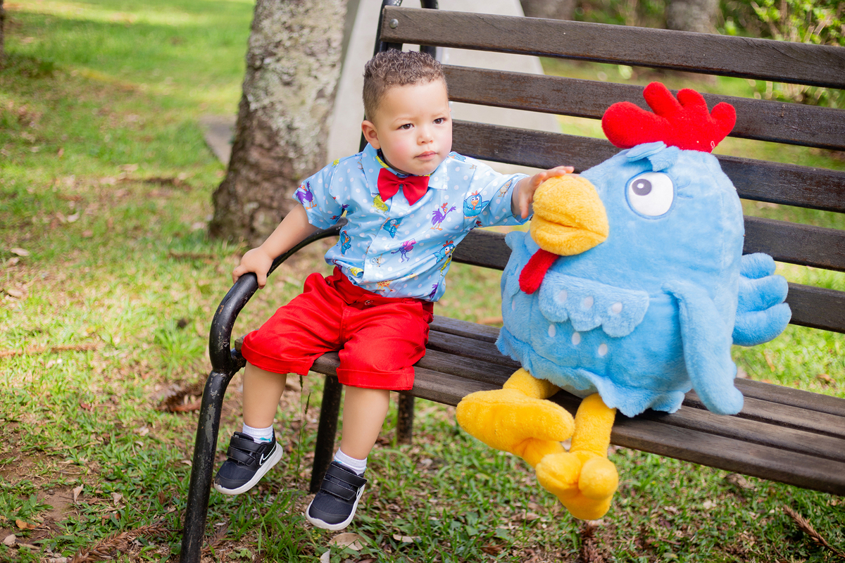 acompanhamento mensal de bebe caxias do sul figurino cenario tematico  personagem foto infantil serra gaucha fotografia familia mundo azul rosa ensaio fotografico crianca newborn baby menino menina smash the cake esmague o bolo banheira urso circo