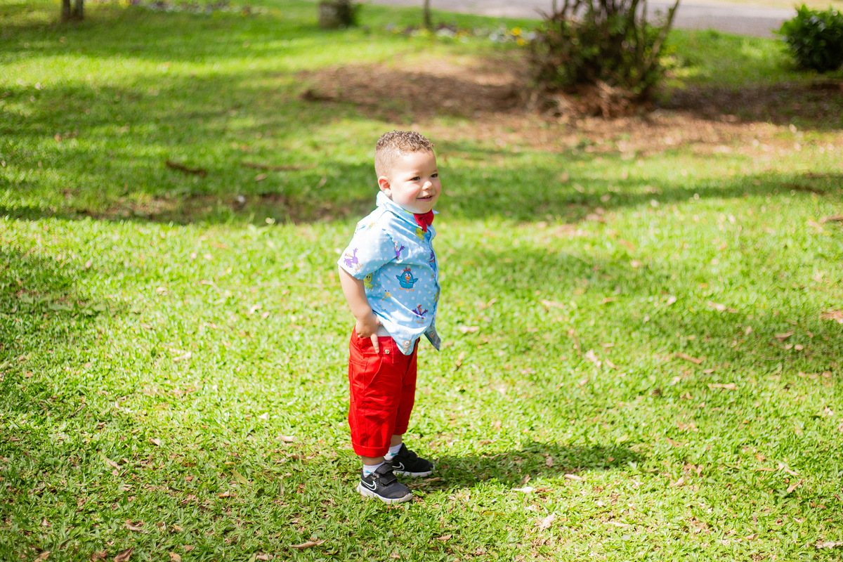 acompanhamento mensal de bebe caxias do sul figurino cenario tematico  personagem foto infantil serra gaucha fotografia familia mundo azul rosa ensaio fotografico crianca newborn baby menino menina smash the cake esmague o bolo banheira urso circo