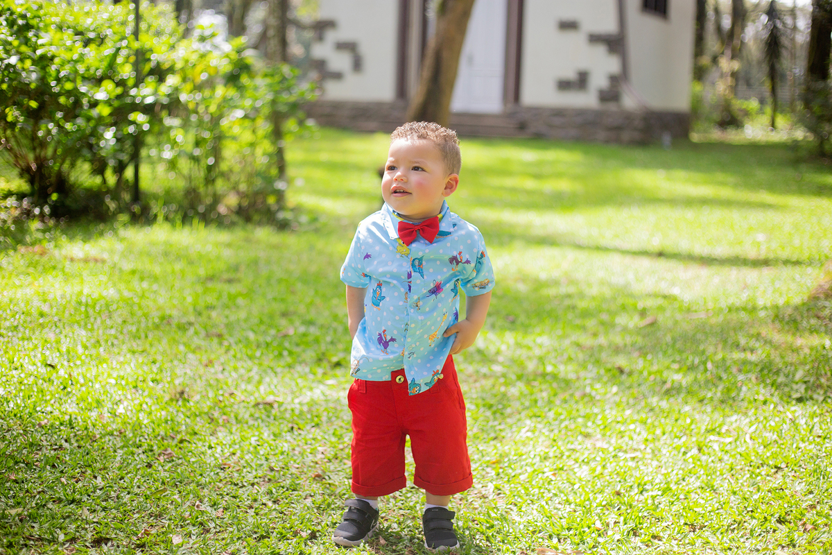 acompanhamento mensal de bebe caxias do sul figurino cenario tematico  personagem foto infantil serra gaucha fotografia familia mundo azul rosa ensaio fotografico crianca newborn baby menino menina smash the cake esmague o bolo banheira urso circo