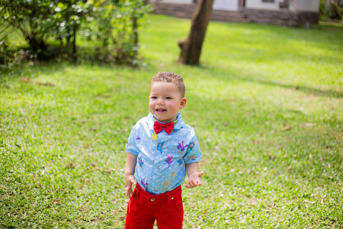 acompanhamento mensal de bebe caxias do sul figurino cenario tematico  personagem foto infantil serra gaucha fotografia familia mundo azul rosa ensaio fotografico crianca newborn baby menino menina smash the cake esmague o bolo banheira urso circo