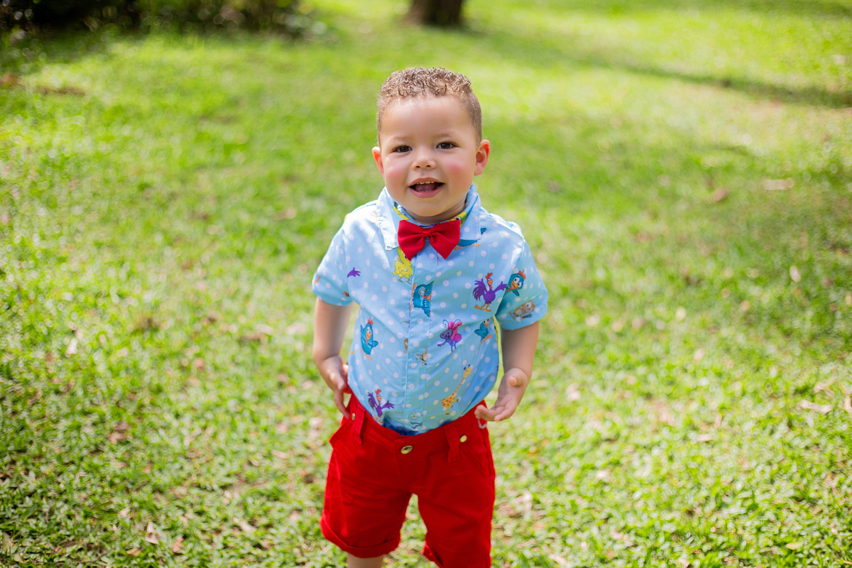 acompanhamento mensal de bebe caxias do sul figurino cenario tematico  personagem foto infantil serra gaucha fotografia familia mundo azul rosa ensaio fotografico crianca newborn baby menino menina smash the cake esmague o bolo banheira urso circo