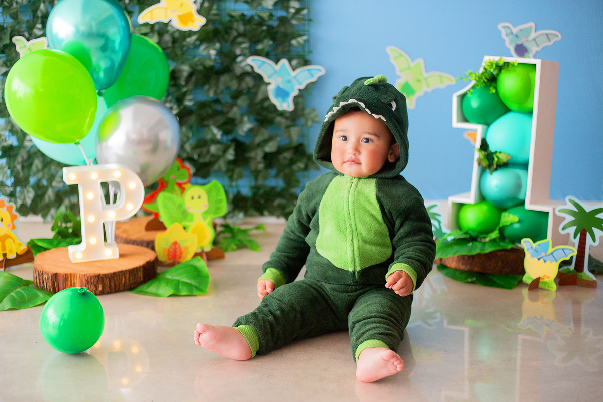 acompanhamento mensal de bebe caxias do sul figurino cenario tematico  personagem foto infantil serra gaucha fotografia familia mundo azul rosa ensaio fotografico crianca newborn baby menino menina smash the cake esmague o bolo banheira urso circo