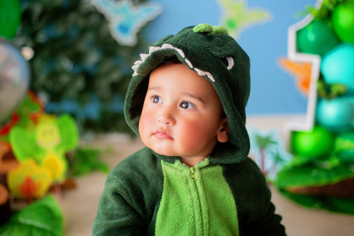 acompanhamento mensal de bebe caxias do sul figurino cenario tematico  personagem foto infantil serra gaucha fotografia familia mundo azul rosa ensaio fotografico crianca newborn baby menino menina smash the cake esmague o bolo banheira urso circo