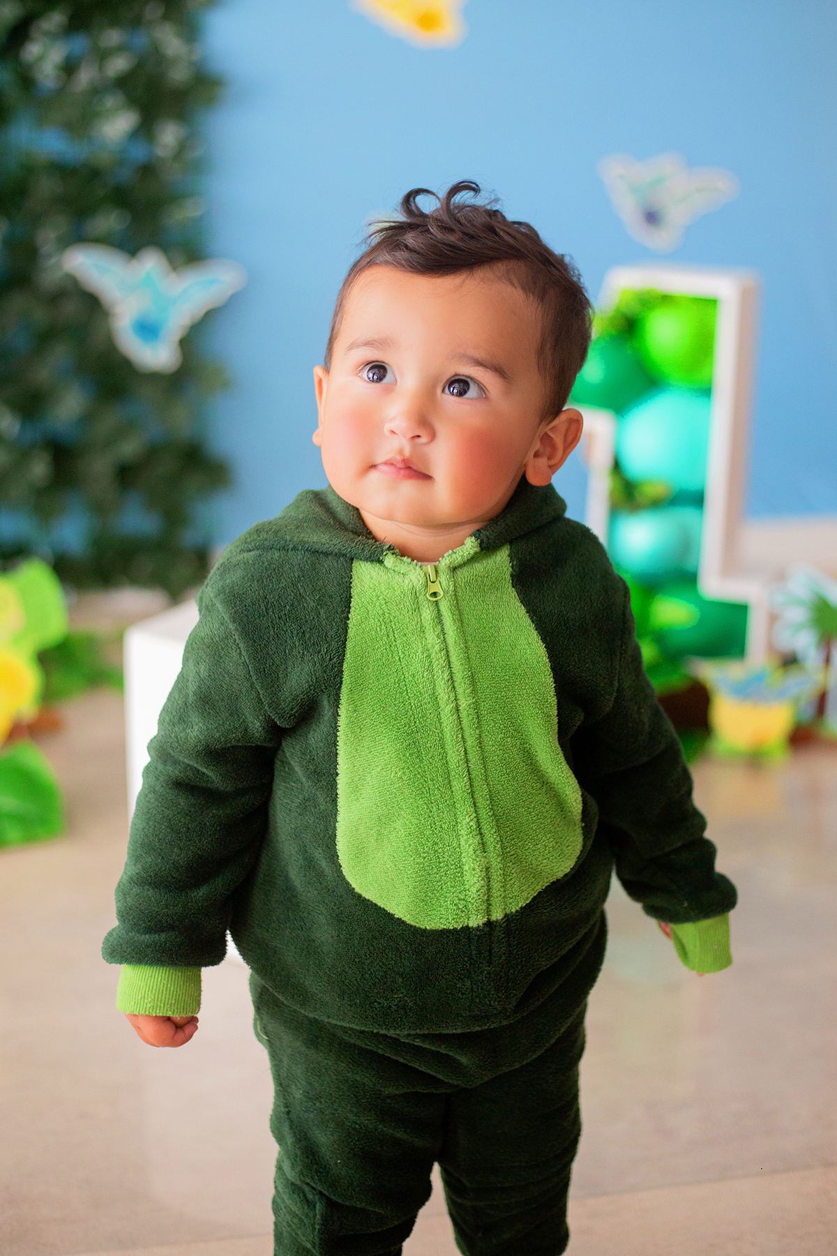 acompanhamento mensal de bebe caxias do sul figurino cenario tematico  personagem foto infantil serra gaucha fotografia familia mundo azul rosa ensaio fotografico crianca newborn baby menino menina smash the cake esmague o bolo banheira urso circo