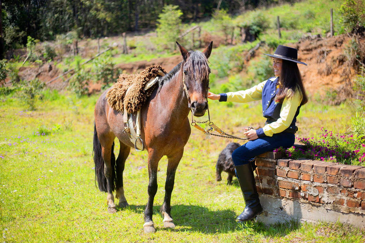 acompanhamento mensal de bebe caxias do sul figurino cenario tematico  personagem foto infantil serra gaucha fotografia familia mundo azul rosa ensaio fotografico crianca newborn baby menino menina smash the cake esmague o bolo banheira urso circo