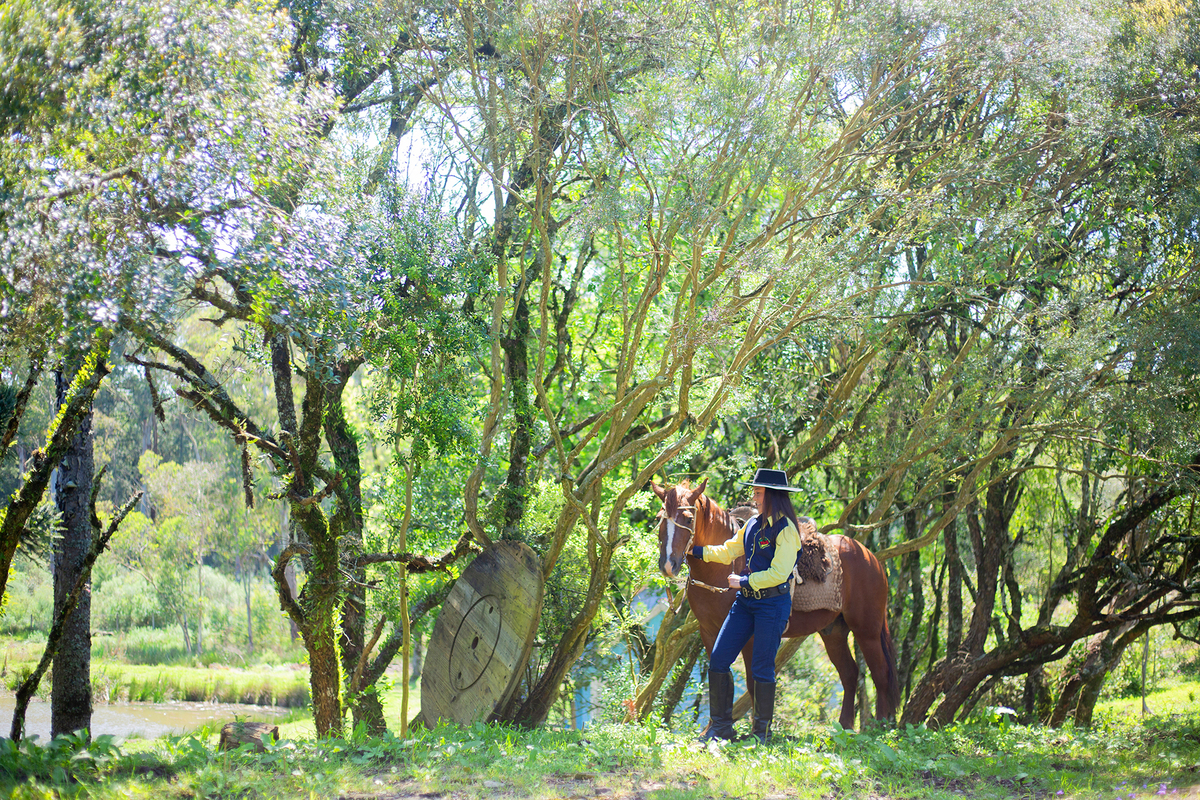 acompanhamento mensal de bebe caxias do sul figurino cenario tematico  personagem foto infantil serra gaucha fotografia familia mundo azul rosa ensaio fotografico crianca newborn baby menino menina smash the cake esmague o bolo banheira urso circo