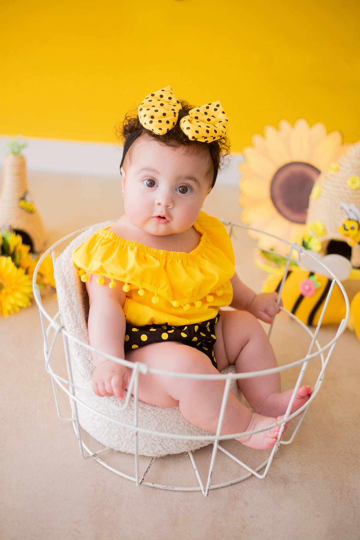acompanhamento mensal de bebe caxias do sul figurino cenario tematico  personagem foto infantil serra gaucha fotografia familia mundo azul rosa ensaio fotografico crianca newborn baby menino menina smash the cake esmague o bolo banheira urso circo