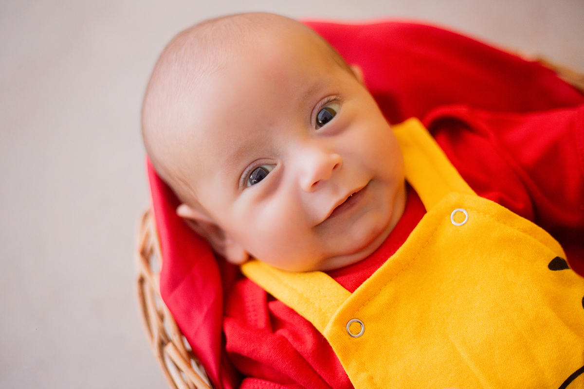 acompanhamento mensal de bebe caxias do sul figurino cenario tematico  personagem foto infantil serra gaucha fotografia familia mundo azul rosa ensaio fotografico crianca newborn baby menino menina smash the cake esmague o bolo banheira urso circo