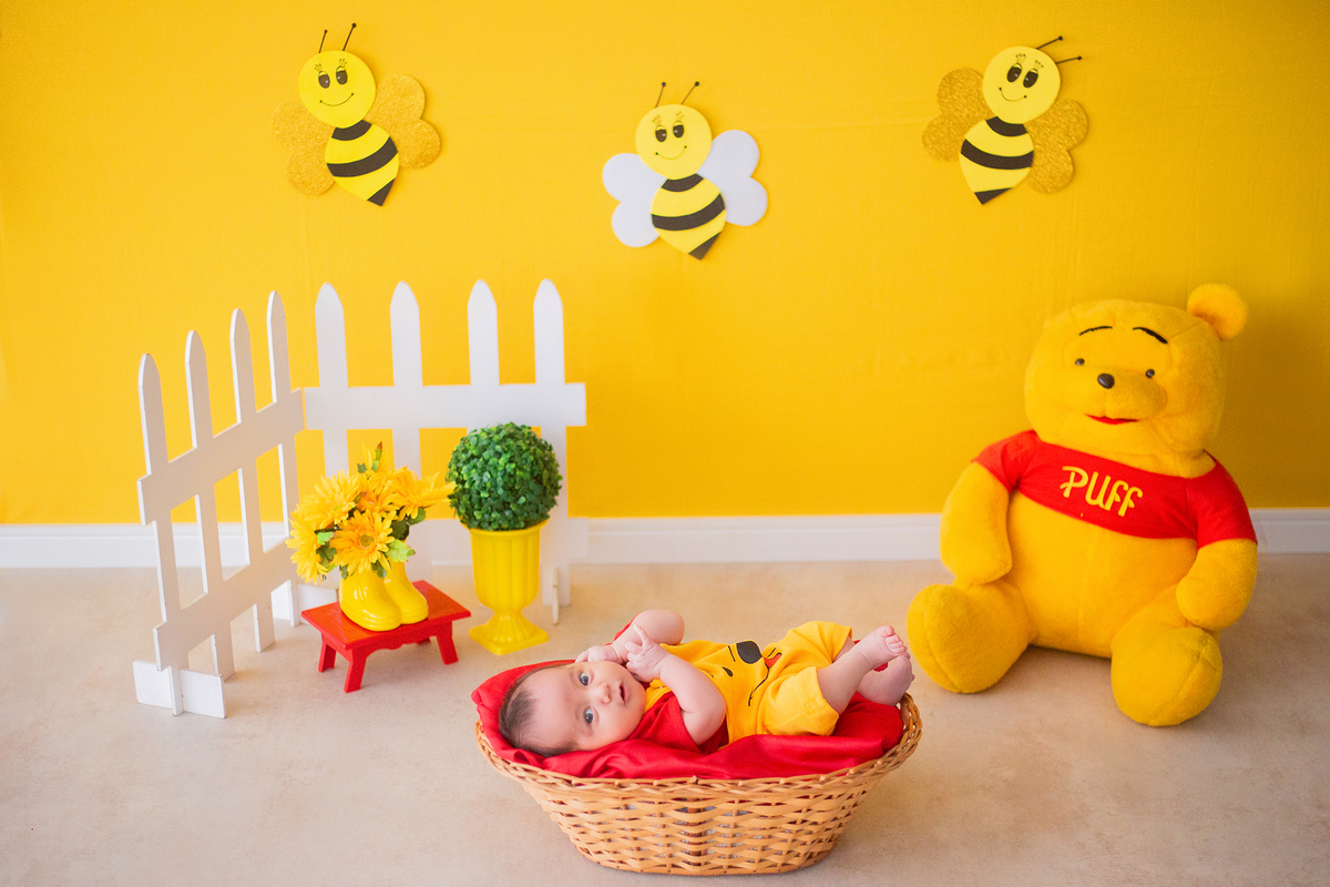 acompanhamento mensal de bebe caxias do sul figurino cenario tematico  personagem foto infantil serra gaucha fotografia familia mundo azul rosa ensaio fotografico crianca newborn baby menino menina smash the cake esmague o bolo banheira urso circo