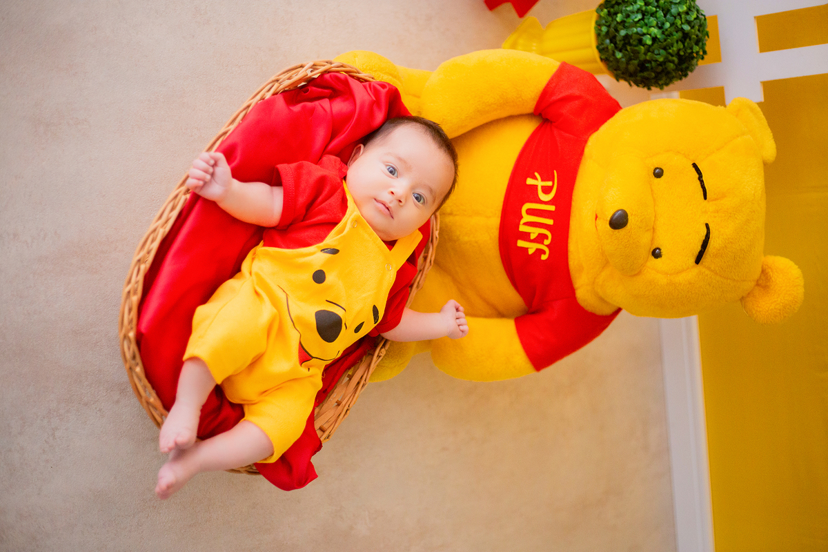 acompanhamento mensal de bebe caxias do sul figurino cenario tematico  personagem foto infantil serra gaucha fotografia familia mundo azul rosa ensaio fotografico crianca newborn baby menino menina smash the cake esmague o bolo banheira urso circo