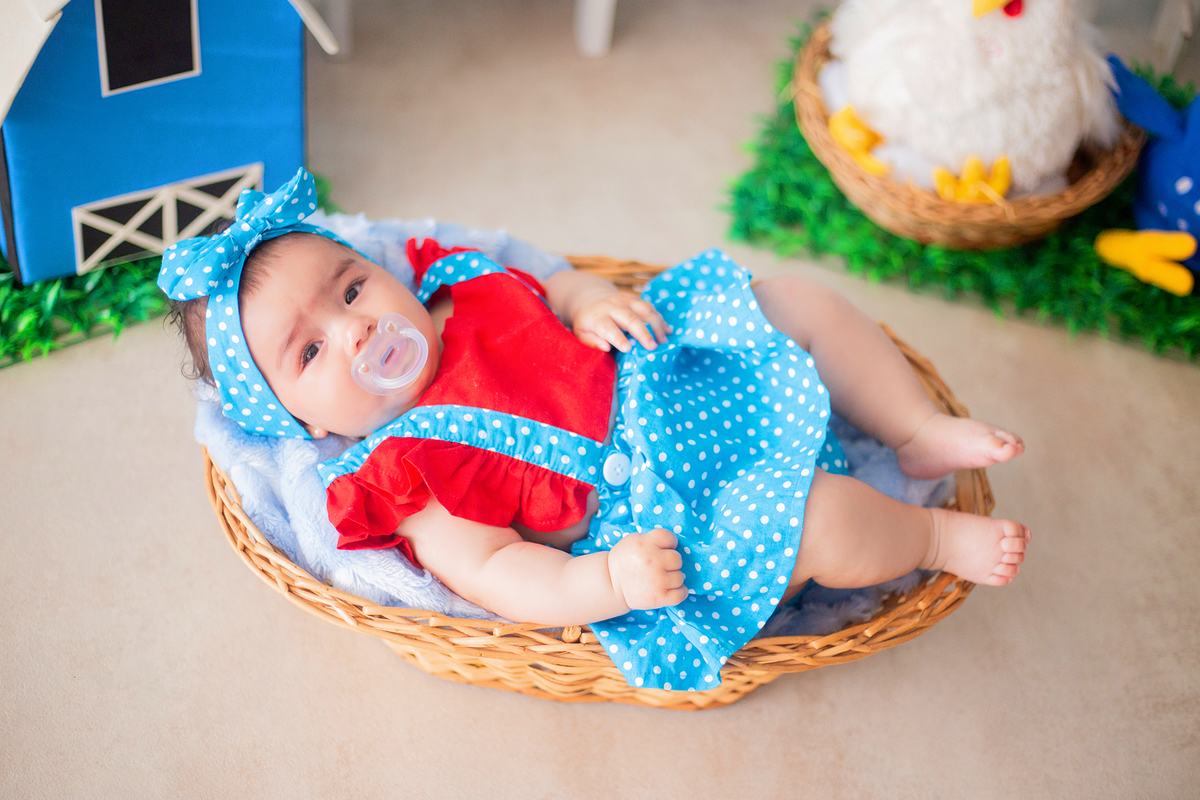 acompanhamento mensal de bebe caxias do sul figurino cenario tematico  personagem foto infantil serra gaucha fotografia familia mundo azul rosa ensaio fotografico crianca newborn baby menino menina smash the cake esmague o bolo banheira urso circo