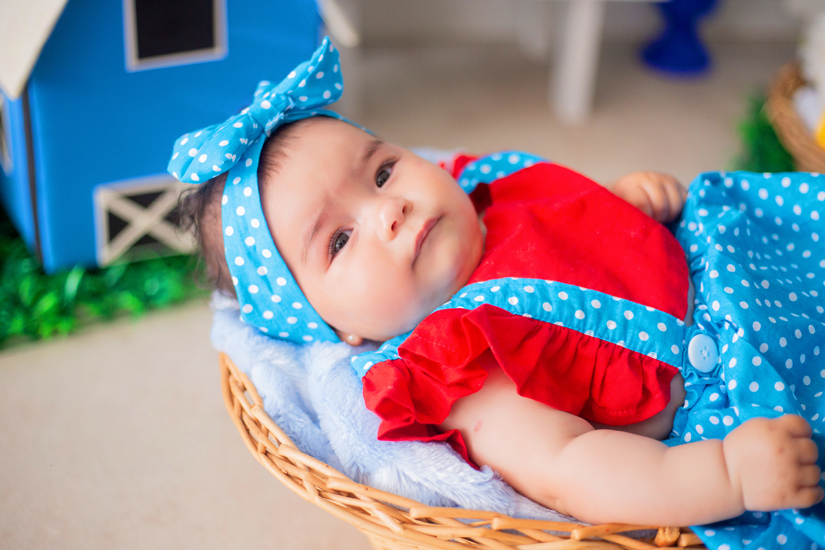 acompanhamento mensal de bebe caxias do sul figurino cenario tematico  personagem foto infantil serra gaucha fotografia familia mundo azul rosa ensaio fotografico crianca newborn baby menino menina smash the cake esmague o bolo banheira urso circo