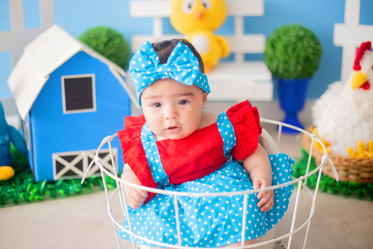 acompanhamento mensal de bebe caxias do sul figurino cenario tematico  personagem foto infantil serra gaucha fotografia familia mundo azul rosa ensaio fotografico crianca newborn baby menino menina smash the cake esmague o bolo banheira urso circo
